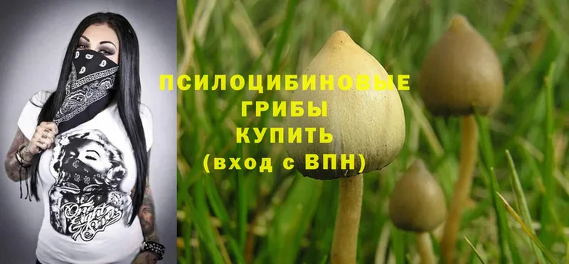 Псилоцибиновые грибы MAGIC MUSHROOMS  Биробиджан 